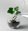 Design House Stockholm / grow greenhouse